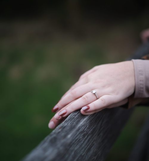 Nicole + Mark | Photography Engagement Session| North Chicago Illinois-93